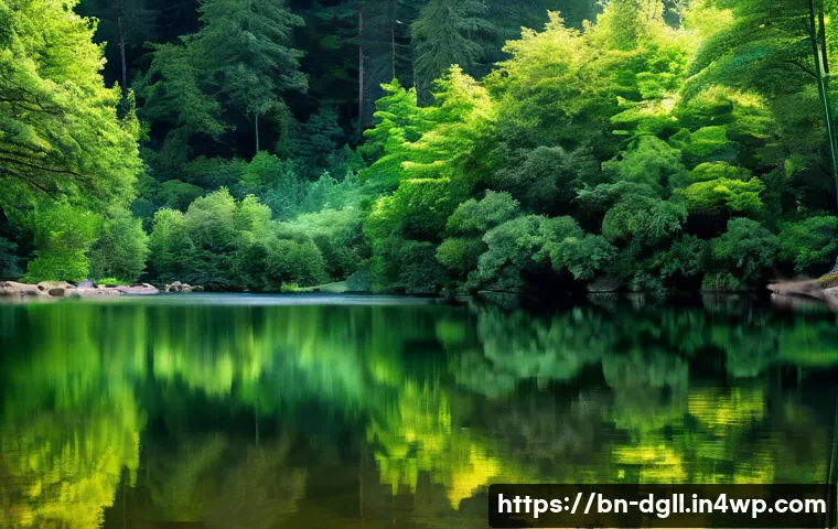 디지털 디톡스 캠프 감정 표현의 중요성 관련 이미지 1